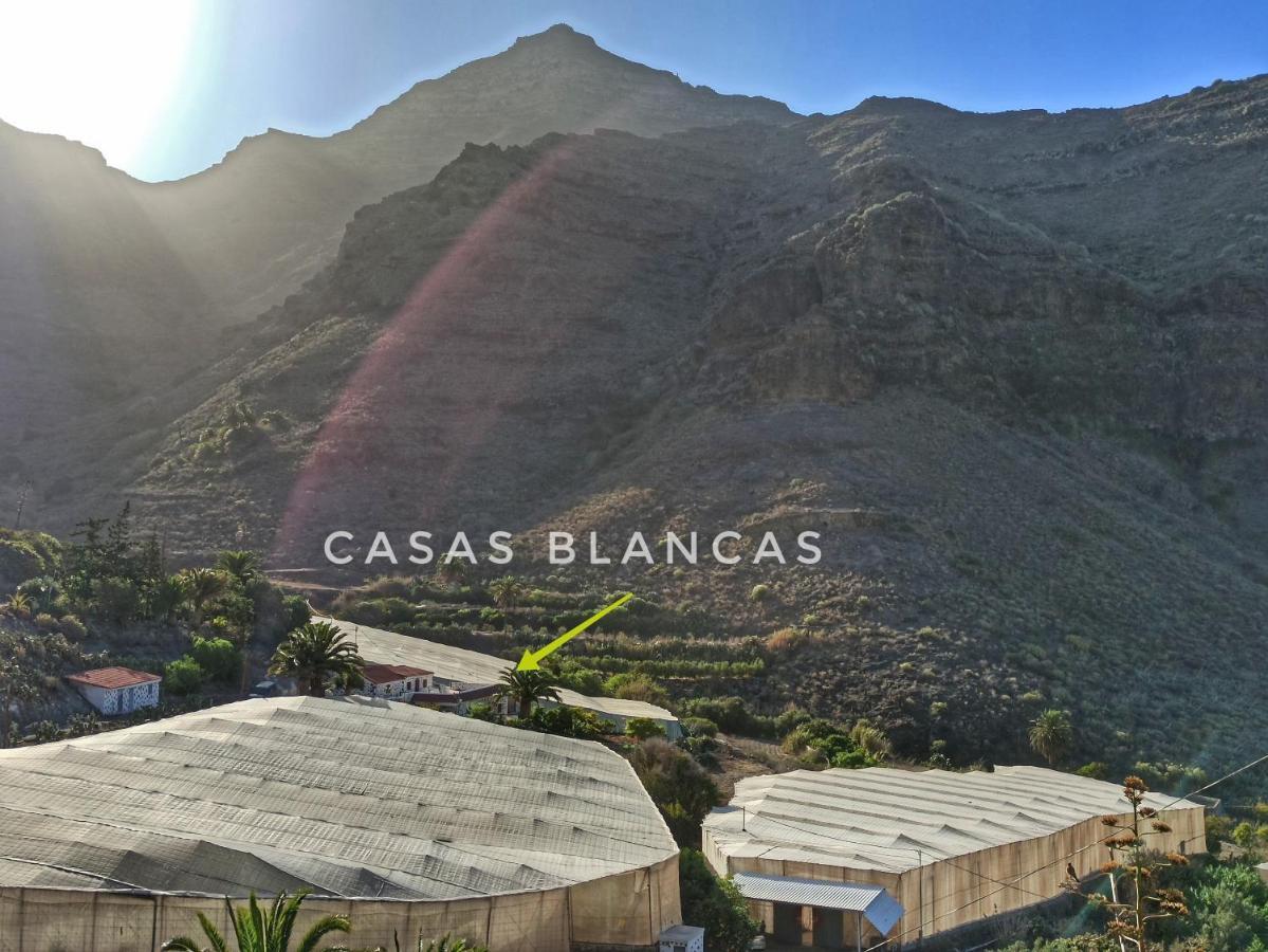 Séjour à la campagne Casas Blancas - 2 Tasartico
