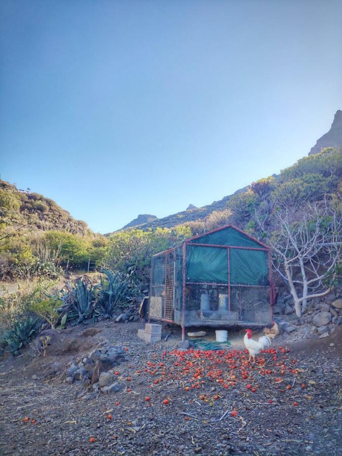 Casas Blancas - 2 Landhuis